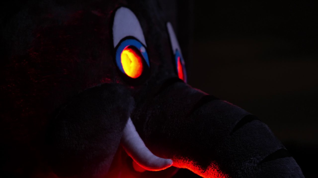 Film de campagne Wild Ember, mascotte éléphant en lumière nocturne